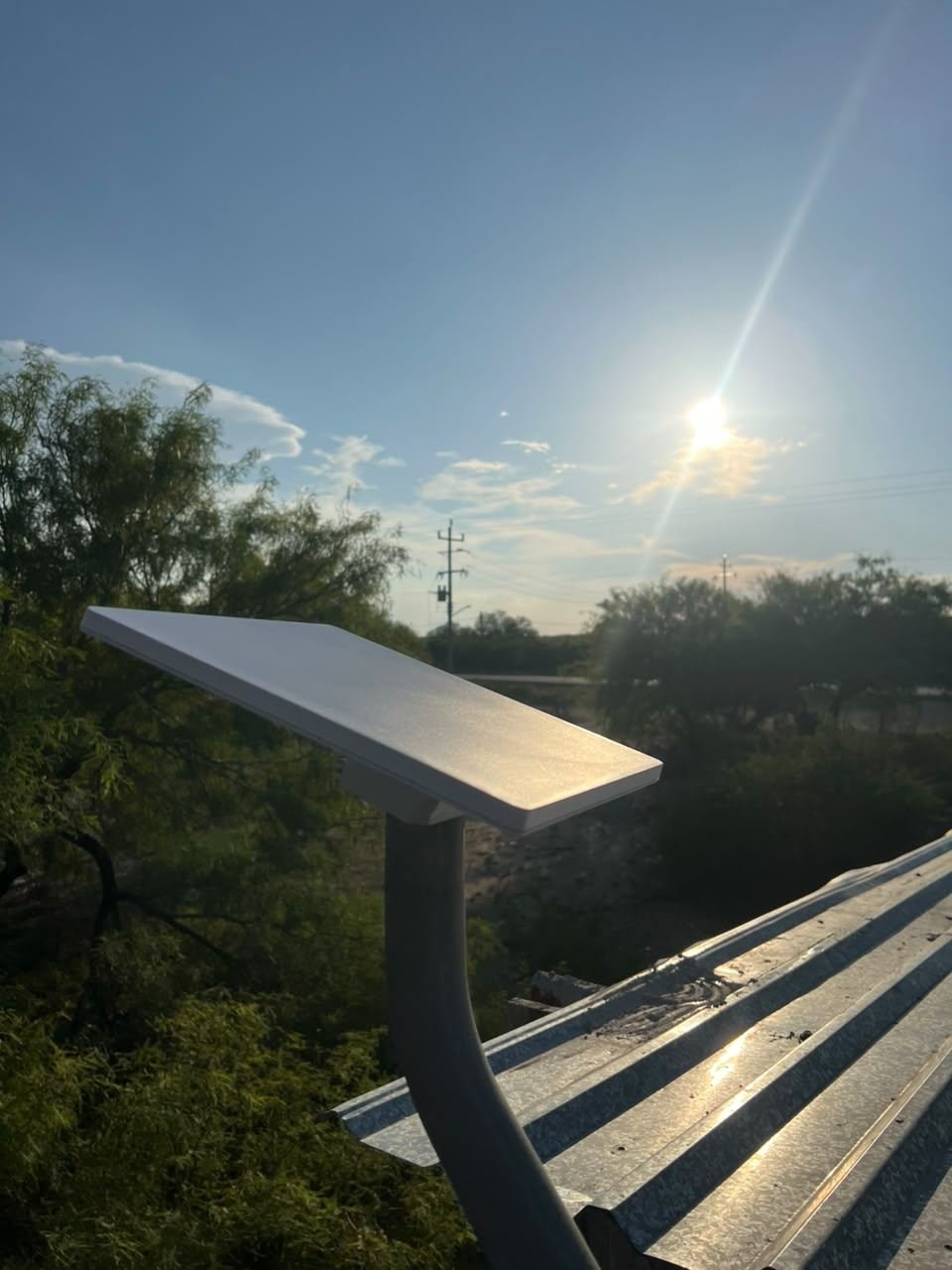 Antena Starlink Mini en poste junto a un techo de lámina, al atardecer, rodeada de monte