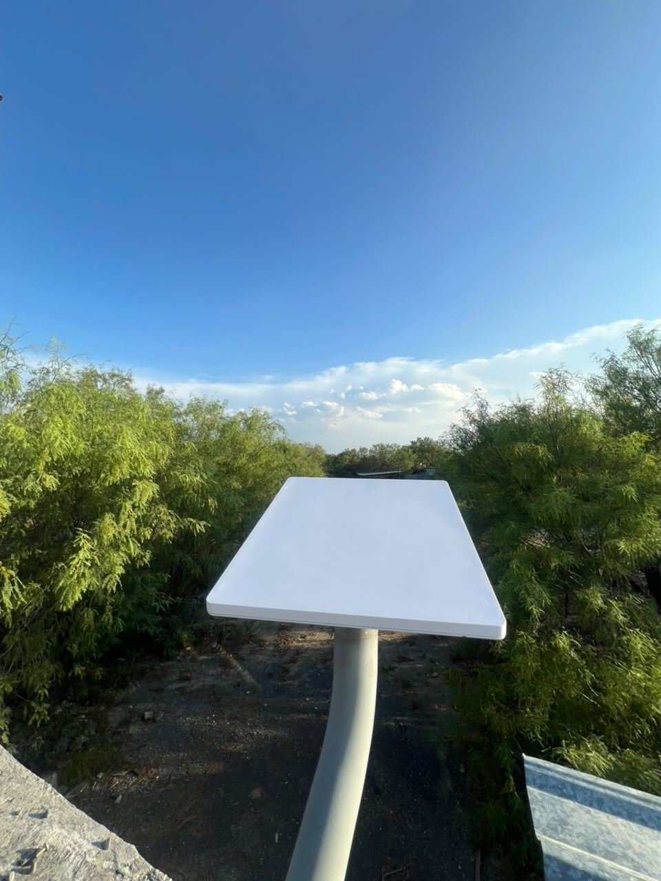 Antena Starlink montada en poste sobre un rancho rodeado de árboles, con el cielo despejado
